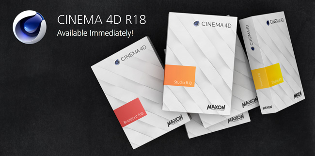 filemaker pro 18 advanced masking filemaker pro 18 advanced masking